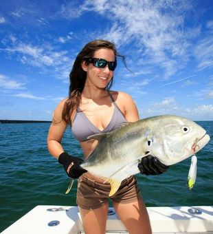 Yellowtail Snapper In key West